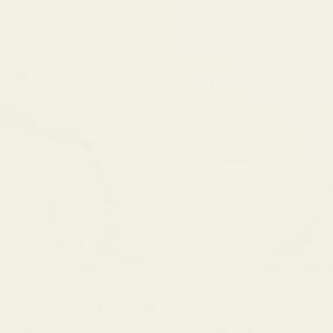 Parchment (Warm White)