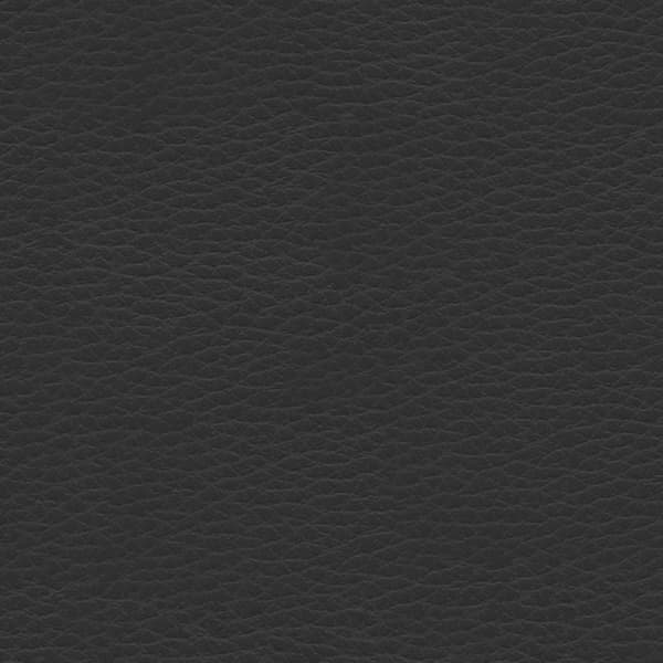 Black Leather