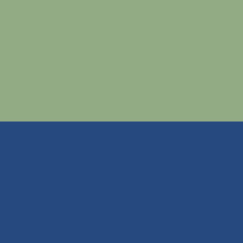 Navy Fern