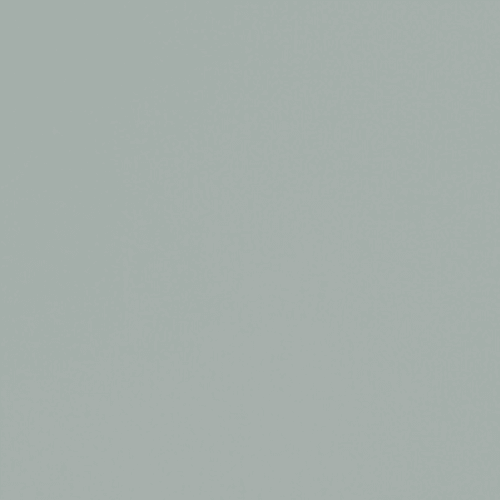 Silver Grey