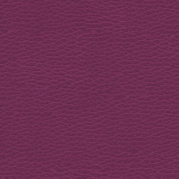 Vinyl Plum