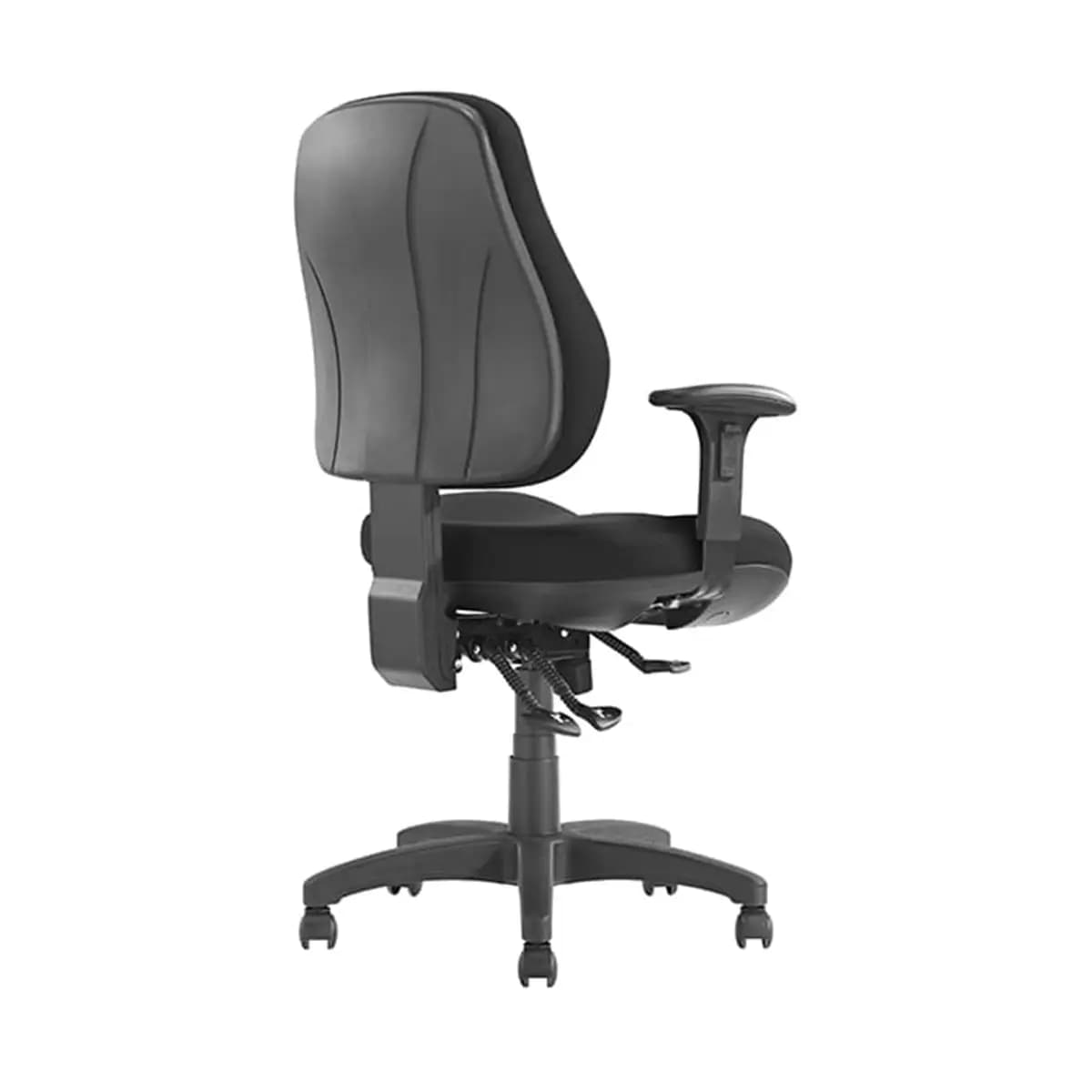 Newton XL - Image 2