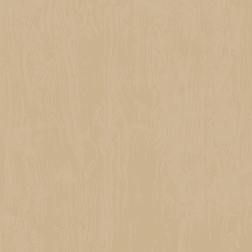 Raw Birchply