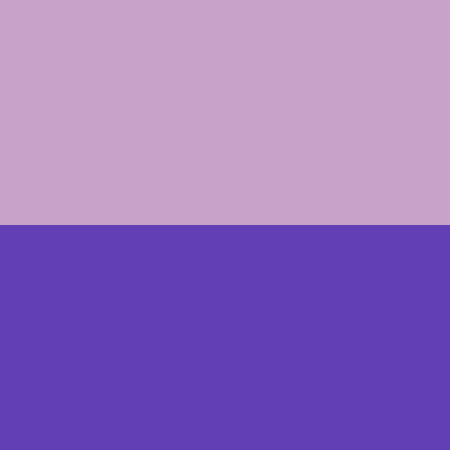 Purple Lavender