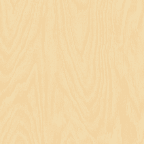 Rotary Hoop Pine (Australian Native)