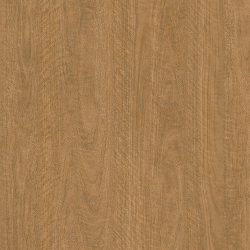 Spotted Gum (Australian Native)