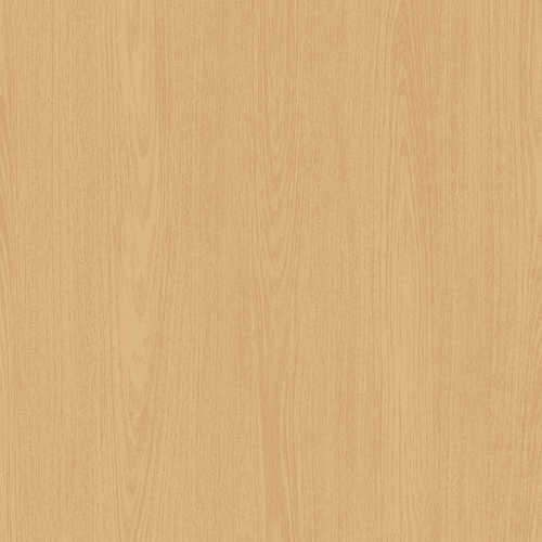 Tasmanian Oak (Australian Native)