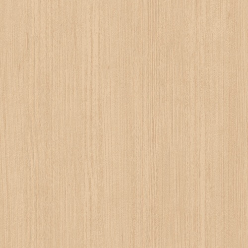 Victorian Ash (Australian Native)