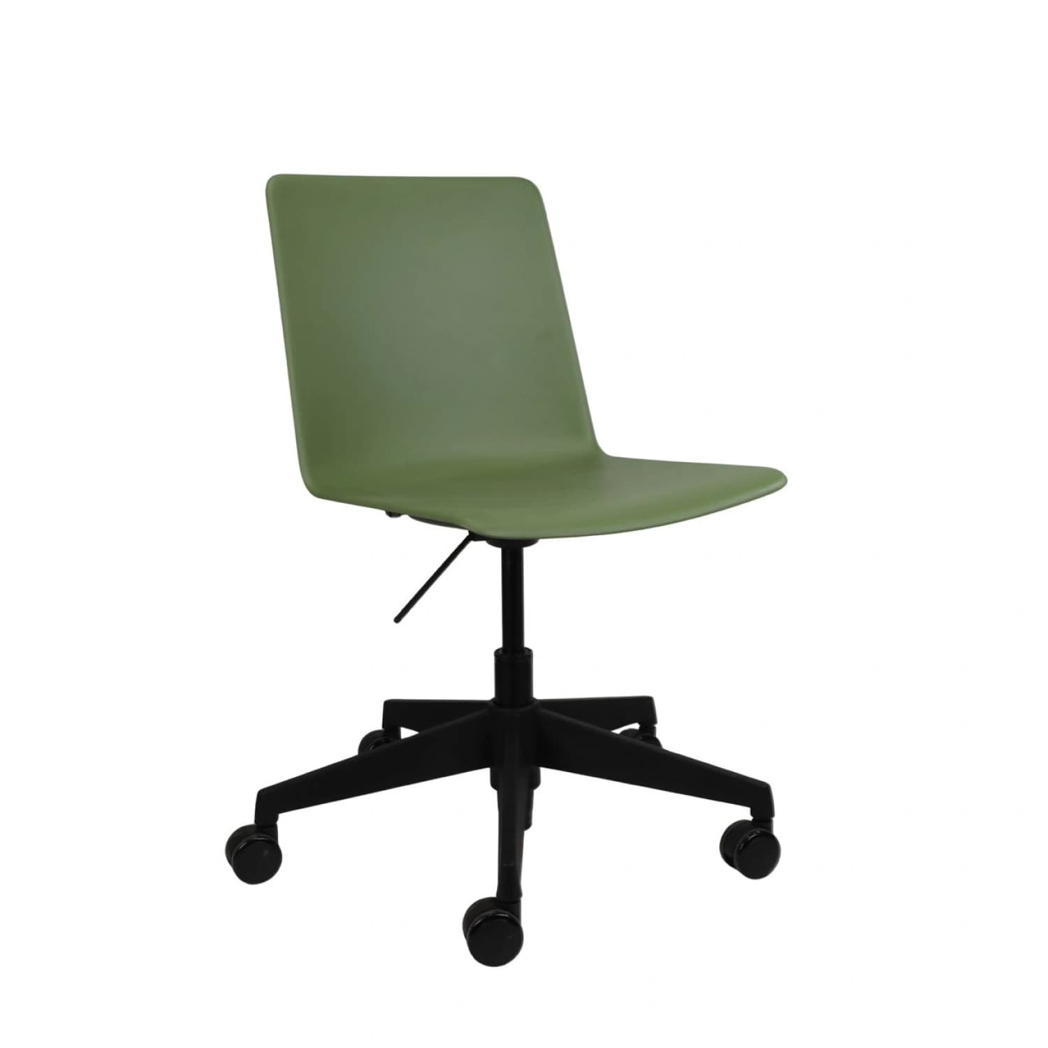 Echo Swivel