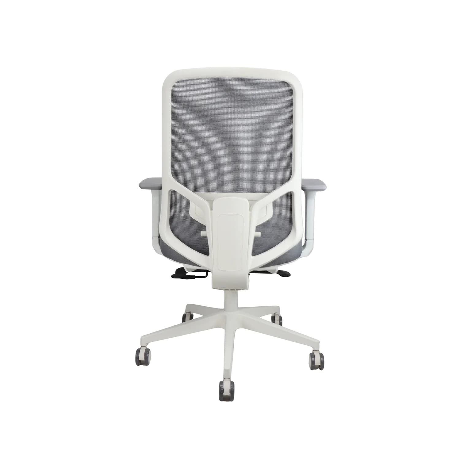Parker - Image 5
