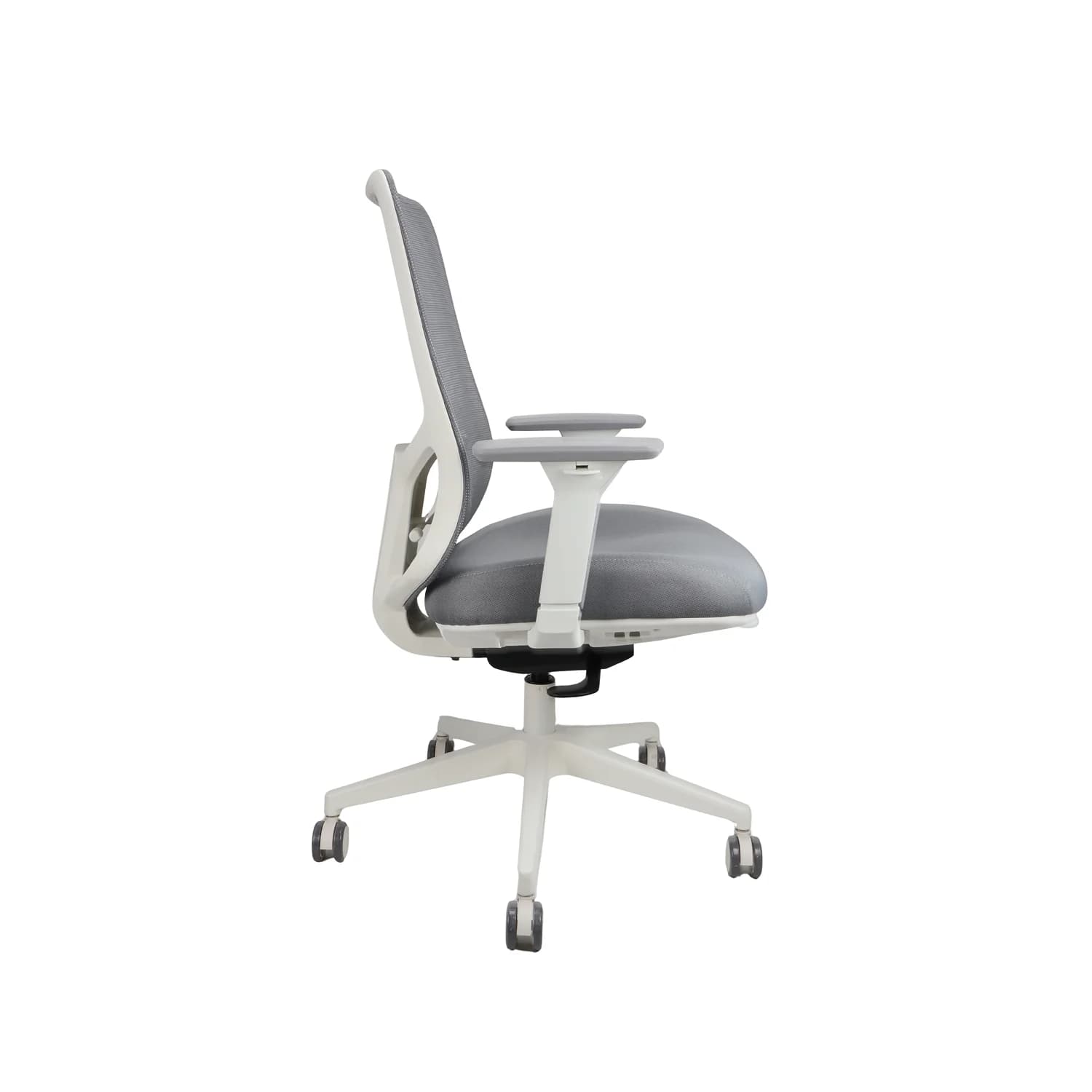 Parker - Image 3