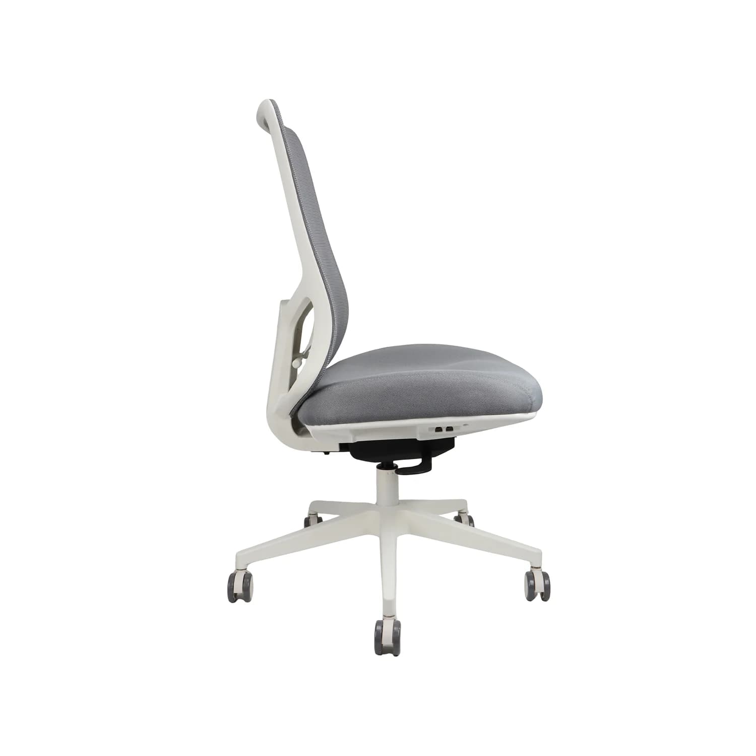 Parker - Image 4