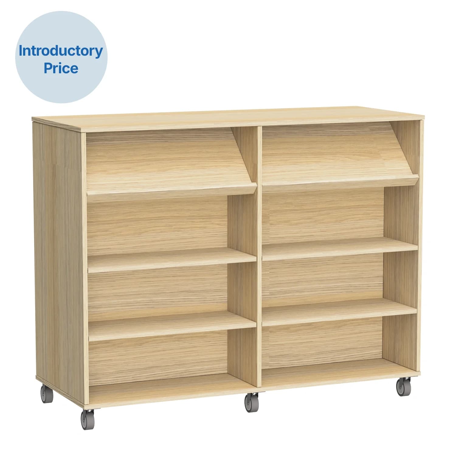 Syna Bookcase