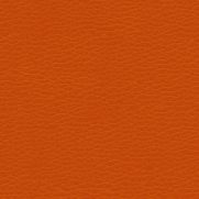Sunset Orange