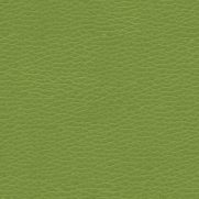 Apple Green