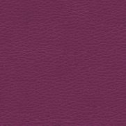 Wild Plum