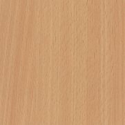 Select Beech