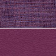Plum Flynn
