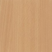 Beech